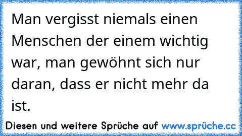 Man vergisst niemals einen Menschen der einem wichtig war, man gewöhnt sich nur daran, dass er nicht mehr da ist.