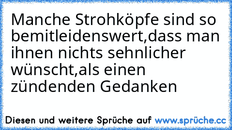 Manche Strohköpfe sind so bemitleidenswert,
dass man ihnen nichts sehnlicher wünscht,
als einen zündenden Gedanken