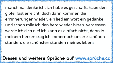 manchmal denke ich, ich habe es geschafft, habe den gipfel fast erreicht, doch dann kommen die errinnerungen wieder, ein lied ein wort ein gedanke und schon rolle ich den berg wieder hinab. vergessen werde ich dich nie! ich kann es einfach nicht, denn in meinem herzen trag ich immernoch unsere schönen stunden, die schönsten stunden meines lebens