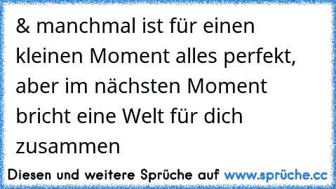 & manchmal ist für einen kleinen Moment alles perfekt, aber im nächsten Moment bricht eine Welt für dich zusammen 