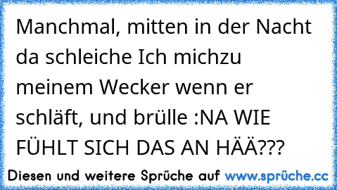 Manchmal, mitten in der Nacht da schleiche Ich mich
zu meinem Wecker wenn er schläft, und brülle :
NA WIE FÜHLT SICH DAS AN HÄÄ???