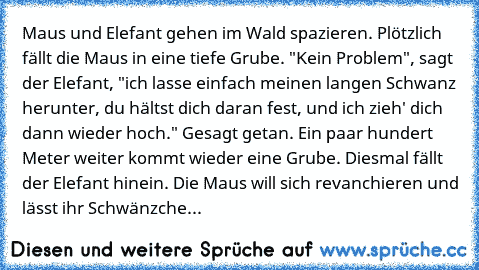 Maus und Elefant gehen im Wald spazieren. Plötzlich fällt die Maus in eine tiefe Grube. "Kein Problem", sagt der Elefant, "ich lasse einfach meinen langen Schwanz herunter, du hältst dich daran fest, und ich zieh' dich dann wieder hoch." Gesagt getan. Ein paar hundert Meter weiter kommt wieder eine Grube. Diesmal fällt der Elefant hinein. Die Maus will sich revanchieren und lässt ihr Schwänzche...