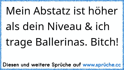 Mein Abstatz ist höher als dein Niveau & ich trage Ballerinas. Bitch!