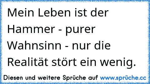 Mein Leben ist der Hammer - purer Wahnsinn - nur die Realität stört ein wenig.