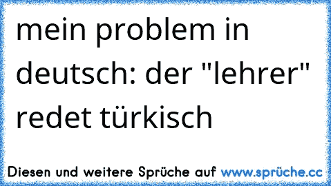 mein problem in deutsch: der "lehrer" redet türkisch