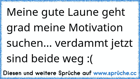 Meine gute Laune geht grad meine Motivation suchen... verdammt jetzt sind beide weg :(