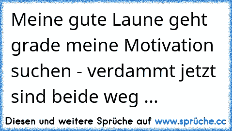 Meine gute Laune geht grade meine Motivation suchen - verdammt jetzt sind beide weg ...