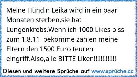 Meine Hündin Leika wird in ein paar Monaten sterben,sie hat Lungenkrebs.
Wenn ich 1000 Likes biss zum 1.8.11  bekomme zahlen meine Eltern den 1500 Euro teuren eingriff.
Also,alle BITTE Liken!!!!!!!!!!!!!