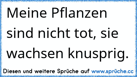 Meine Pflanzen sind nicht tot, sie wachsen knusprig.