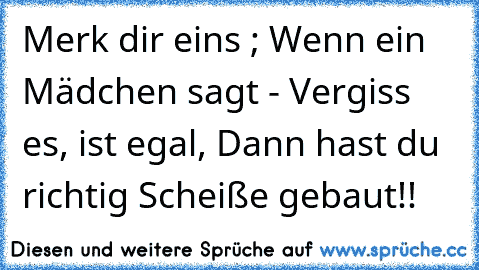 Merk dir eins ; Wenn ein Mädchen sagt - Vergiss es, ist egal, Dann hast du richtig Scheiße gebaut!!