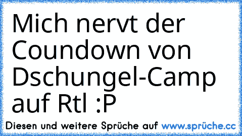 Mich nervt der Coundown von Dschungel-Camp auf Rtl :P