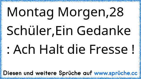 Montag Morgen,28 Schüler,Ein Gedanke : Ach Halt die Fresse !