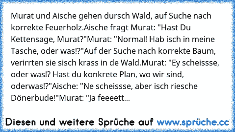 Murat und Aische gehen dursch Wald, auf Suche nach korrekte Feuerholz.
Aische fragt Murat: "Hast Du Kettensage, Murat?"
Murat: "Normal! Hab isch in meine Tasche, oder was!?"
Auf der Suche nach korrekte Baum, verirrten sie sisch krass in de Wald.
Murat: "Ey scheissse, oder was!? Hast du konkrete Plan, wo wir sind, oderwas!?"
Aische: "Ne scheissse, aber isch riesche Dönerbude!"
Murat: "Ja feeeett...