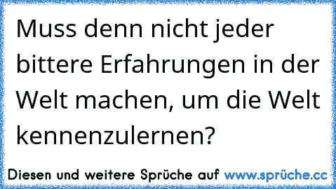 Muss denn nicht jeder bittere Erfahrungen in der Welt machen, um die Welt kennenzulernen?