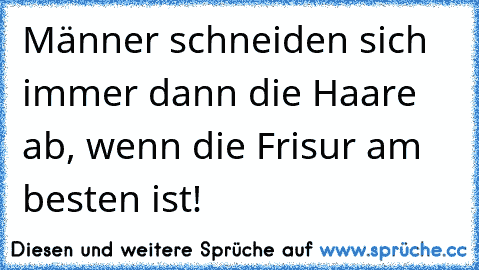 Männer schneiden sich immer dann die Haare ab, wenn die Frisur am besten ist!