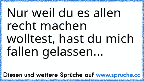 Nur weil du es allen recht machen wolltest, hast du mich fallen gelassen...