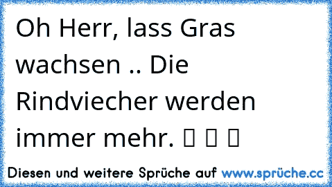 Oh Herr, lass Gras wachsen .. Die Rindviecher werden immer mehr. ツ ツ ツ