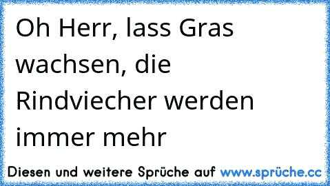 Oh Herr, lass Gras wachsen, die Rindviecher werden immer mehr