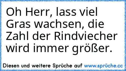 Oh Herr, lass viel Gras wachsen, die Zahl der Rindviecher wird immer größer.