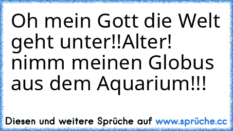 Oh mein Gott die Welt geht unter!!
Alter! nimm meinen Globus aus dem Aquarium!!!