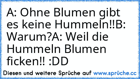 A: Ohne Blumen gibt es keine Hummeln!!
B: Warum?
A: Weil die Hummeln Blumen ficken!! :DD