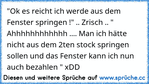 "Ok es reicht ich werde aus dem Fenster springen !" .. Zrisch .. " Ahhhhhhhhhhhh .... Man ich hätte nicht aus dem 2ten stock springen sollen und das Fenster kann ich nun auch bezahlen " xDD