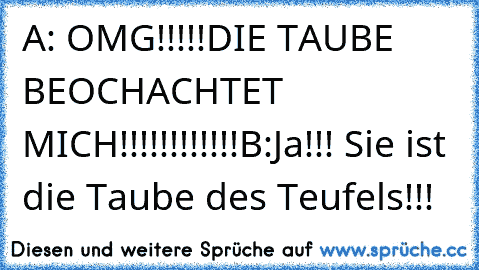 A: OMG!!!!!DIE TAUBE BEOCHACHTET MICH!!!!!!!!!!!!
B:Ja!!! Sie ist die Taube des Teufels!!!