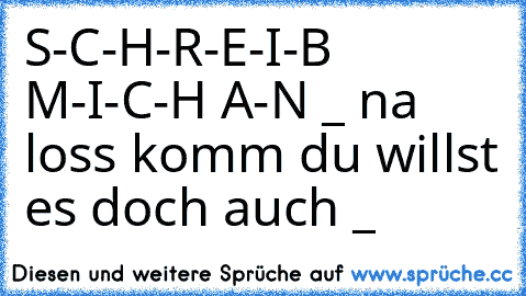 S-C-H-R-E-I-B M-I-C-H A-N °_° na loss komm du willst es doch auch °_°