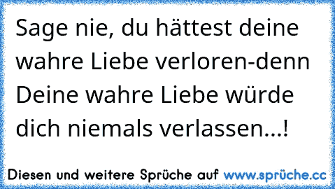 Sage nie, du hättest deine wahre Liebe verloren-denn Deine wahre Liebe würde dich niemals verlassen...!  ♥