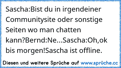 Sascha:Bist du in irgendeiner Communitysite oder sonstige Seiten wo man chatten kann?
Bernd:Ne...
Sascha:Oh,ok bis morgen!
Sascha ist offline.