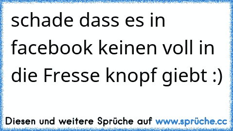 schade dass es in facebook keinen voll in die Fresse knopf giebt :)