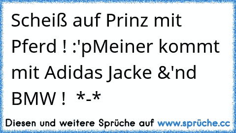 Scheiß auf Prinz mit Pferd ! :'p
Meiner kommt mit Adidas Jacke &'nd BMW ! ♥ *-*