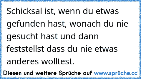 Schicksal ist, wenn du etwas gefunden hast, wonach du nie gesucht hast und dann feststellst dass du nie etwas anderes wolltest. ♥