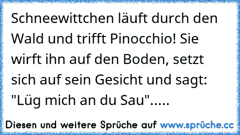 Schneewittchen läuft durch den Wald und trifft Pinocchio! Sie wirft ihn auf den Boden, setzt sich auf sein Gesicht und sagt: "Lüg mich an du Sau".....