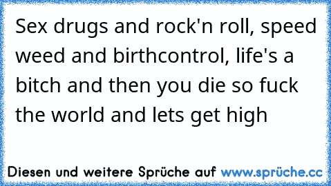 Sex drugs and rock'n roll, speed weed and birthcontrol, life's a bitch and then you die so fuck the world and lets get high