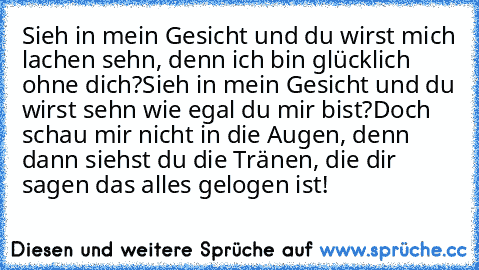 Sieh in mein Gesicht und du wirst mich lachen sehn, denn ich bin glücklich ohne dich?
Sieh in mein Gesicht und du wirst sehn wie egal du mir bist?
Doch schau mir nicht in die Augen, denn dann siehst du die Tränen, die dir sagen das alles gelogen ist!