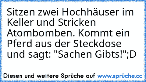 Sitzen zwei Hochhäuser im Keller und Stricken Atombomben.
 Kommt ein Pferd aus der Steckdose und sagt: "Sachen Gibts!"
;D