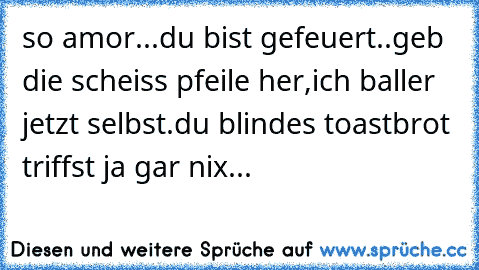 so amor...du bist gefeuert..geb die scheiss pfeile her,ich baller jetzt selbst.du blindes toastbrot triffst ja gar nix...