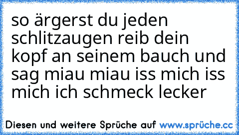 so ärgerst du jeden schlitzaugen reib dein kopf an seinem bauch und sag miau miau iss mich iss mich ich schmeck lecker