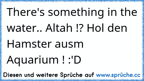 There's something in the water.. ♫
Altah !? Hol den Hamster ausm Aquarium ! :'D