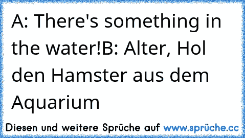 A: There's something in the water!
B: Alter, Hol den Hamster aus dem Aquarium