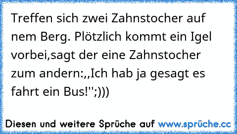 Treffen sich zwei Zahnstocher auf nem Berg. Plötzlich kommt ein Igel vorbei,sagt der eine Zahnstocher zum andern:,,Ich hab ja gesagt es fahrt ein Bus!'';)))