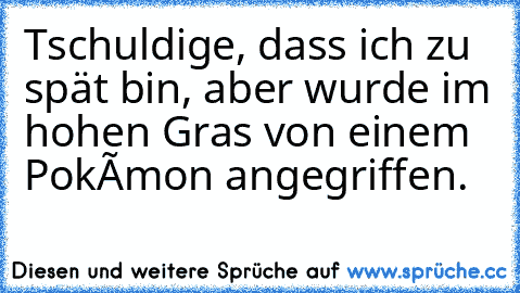 Tschuldige, dass ich zu spät bin, aber wurde im hohen Gras von einem Pokémon angegriffen.