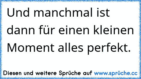 Und manchmal ist dann für einen kleinen Moment alles perfekt.