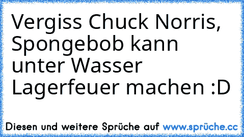 Vergiss Chuck Norris, Spongebob kann unter Wasser Lagerfeuer machen :D