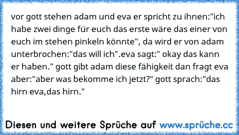 vor gott stehen adam und eva er spricht zu ihnen:"ich habe zwei dinge für euch das erste wäre das einer von euch im stehen pinkeln könnte", da wird er von adam unterbrochen:"das will ich".eva sagt:" okay das kann er haben." gott gibt adam diese fähigkeit dan fragt eva aber:"aber was bekomme ich jetzt?" gott sprach:"das hirn eva,das hirn."