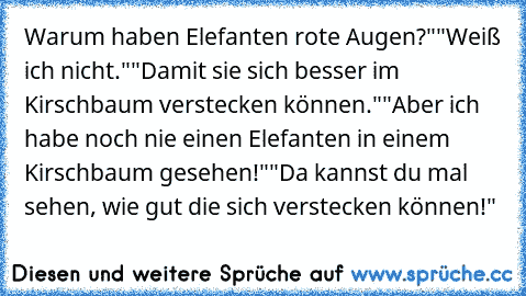 Warum haben Elefanten rote Augen?"
"Weiß ich nicht."
"Damit sie sich besser im Kirschbaum verstecken können."
"Aber ich habe noch nie einen Elefanten in einem Kirschbaum gesehen!"
"Da kannst du mal sehen, wie gut die sich verstecken können!"