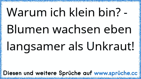 Warum ich klein bin? - Blumen wachsen eben langsamer als Unkraut!