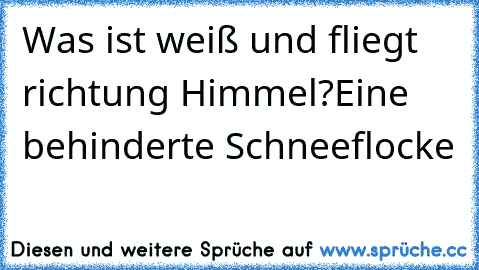 Was ist weiß und fliegt richtung Himmel?
Eine behinderte Schneeflocke