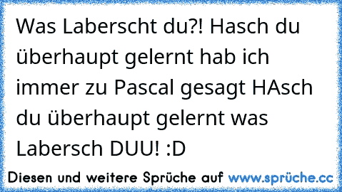 Was Laberscht du?! Hasch du überhaupt gelernt hab ich immer zu Pascal gesagt HAsch du überhaupt gelernt was Labersch DUU! :D